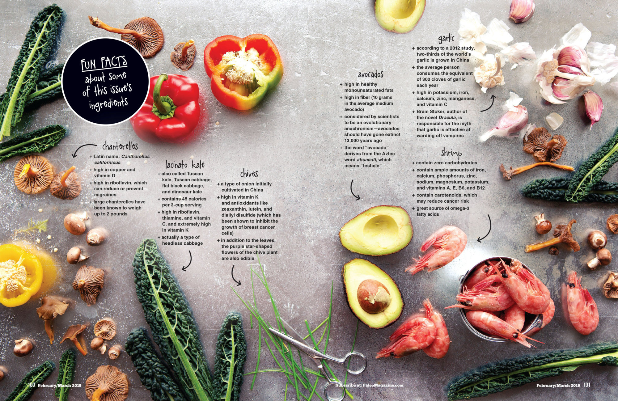 Paleo Magazine Seasonal Ingredients Spread