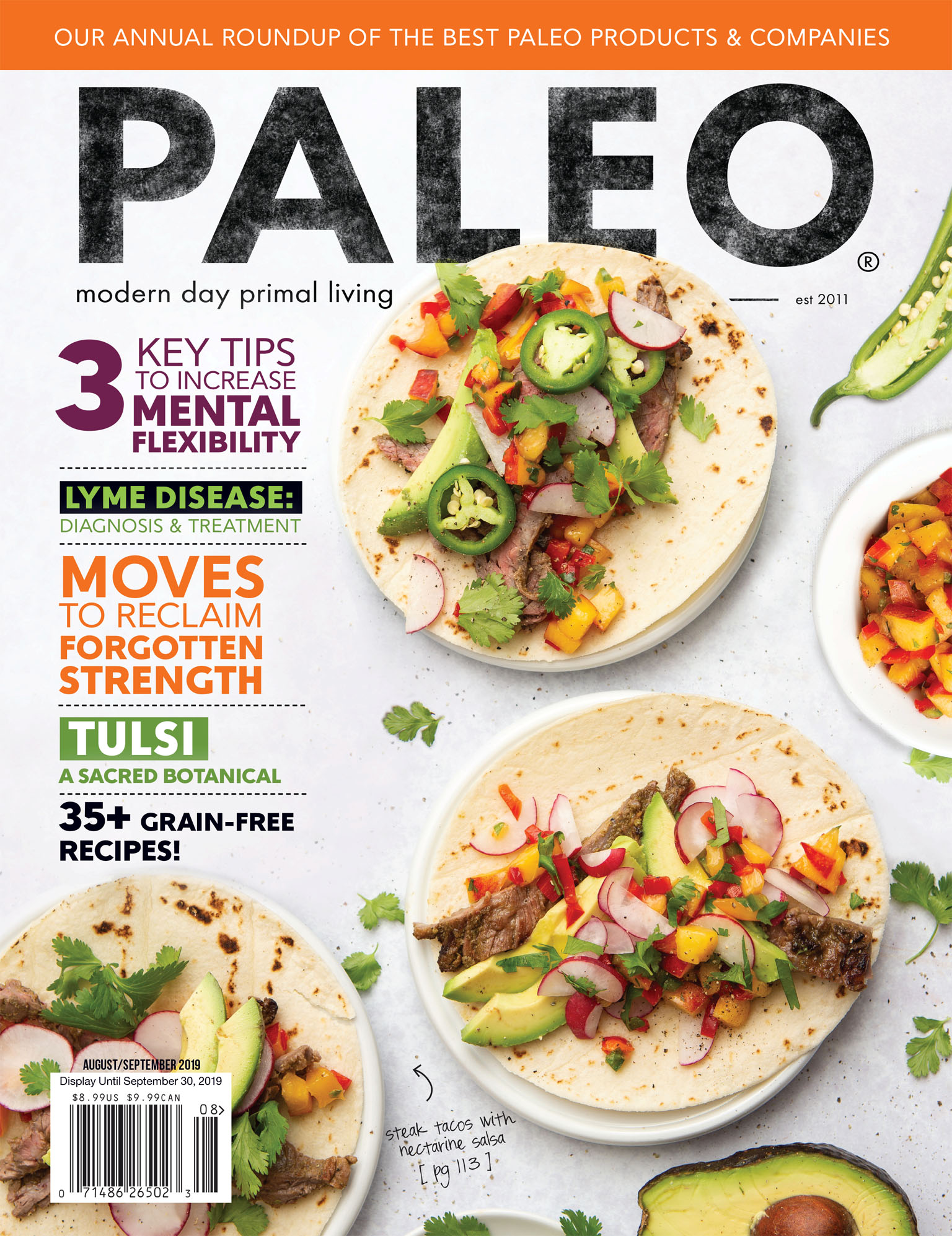 Cover photo for Paleo Magazine - Steak Taco Food Photography